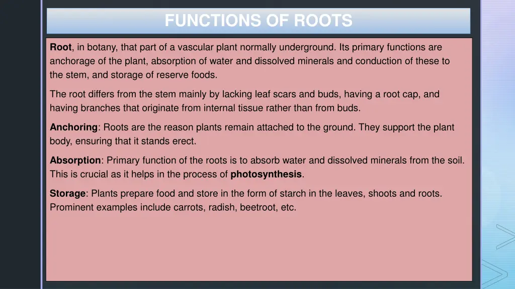 functions of roots