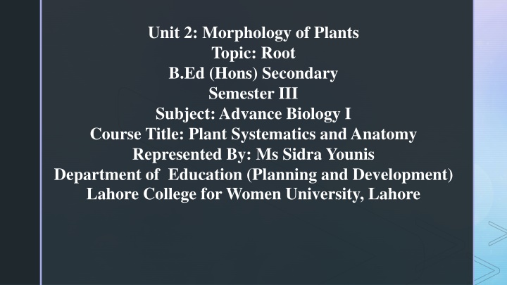 unit 2 morphology of plants topic root b ed hons