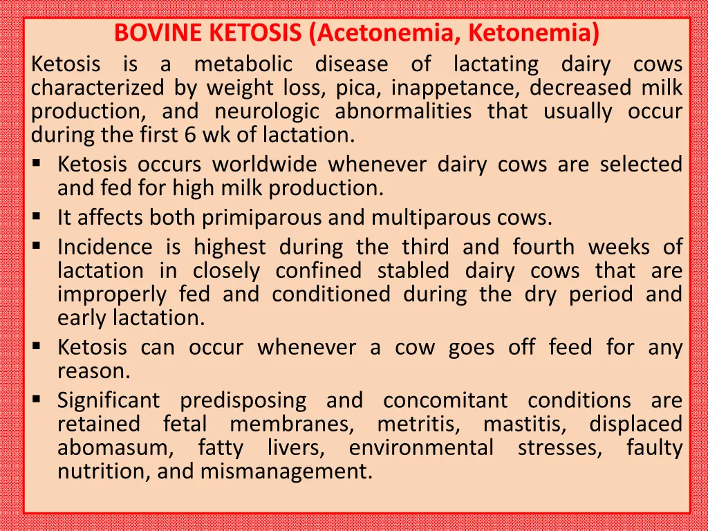 bovine ketosis acetonemia ketonemia ketosis