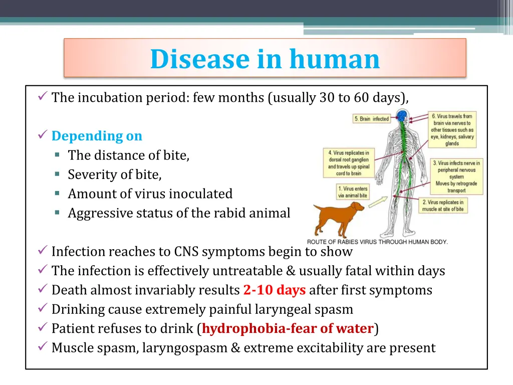 disease in human