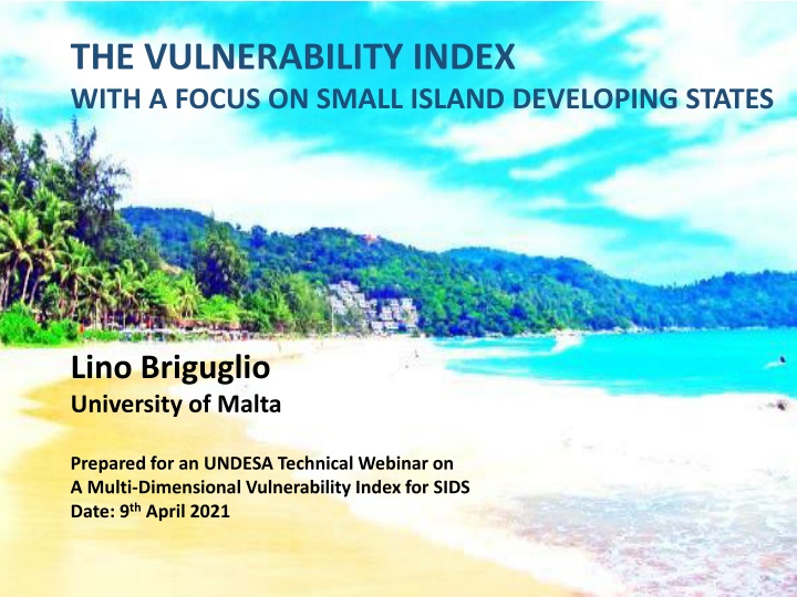 the vulnerability index with a focus on small