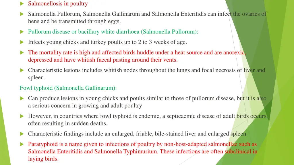 salmonellosis in poultry