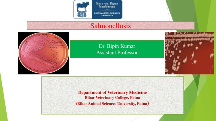 salmonellosis