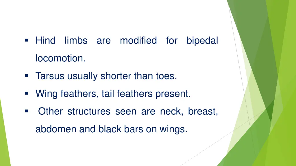 hind limbs are modified for bipedal