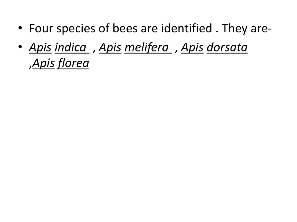 four species of bees are identified they are apis