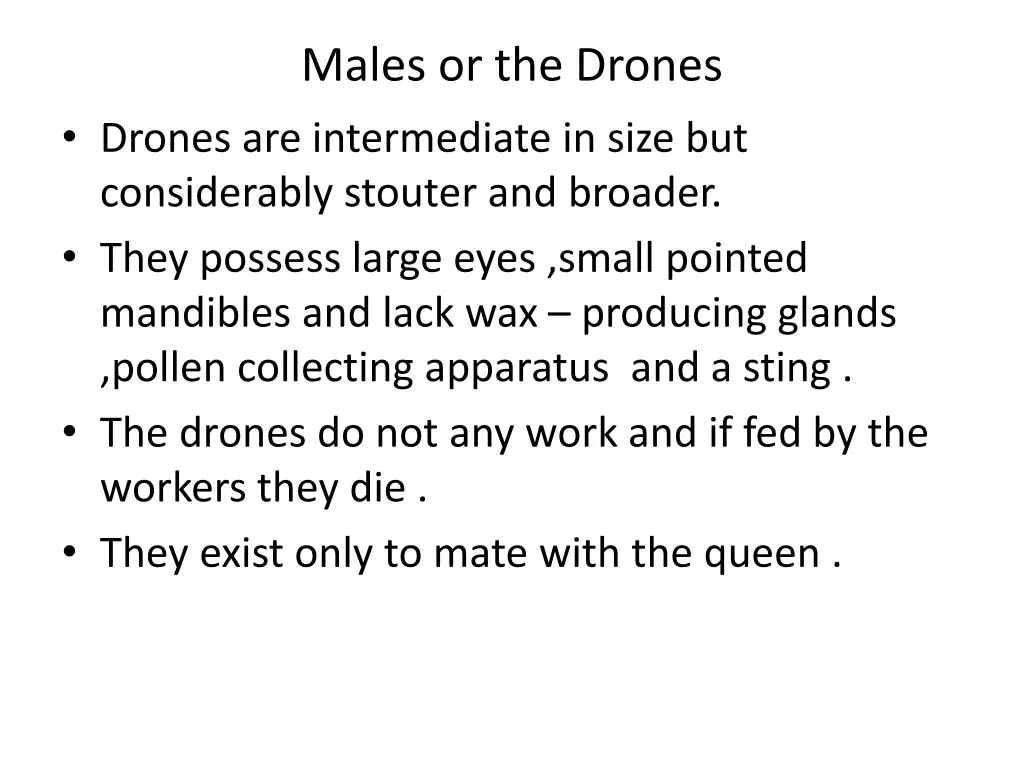 males or the drones