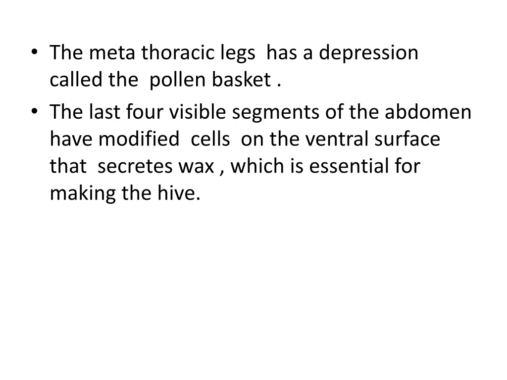 the meta thoracic legs has a depression called