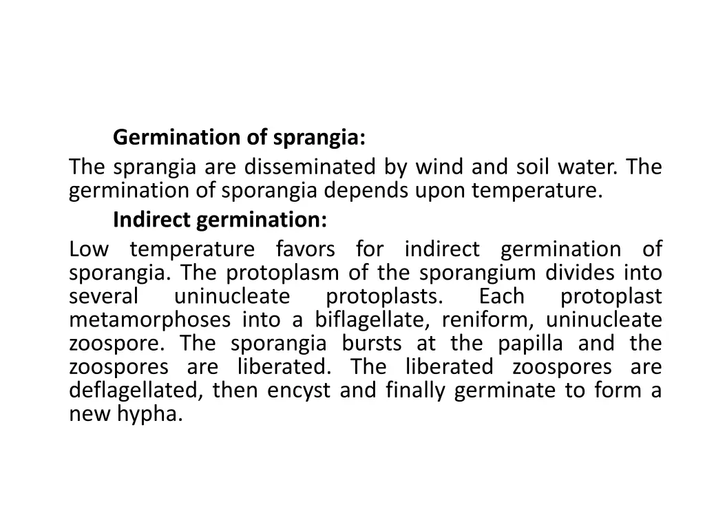 germination of sprangia the sprangia