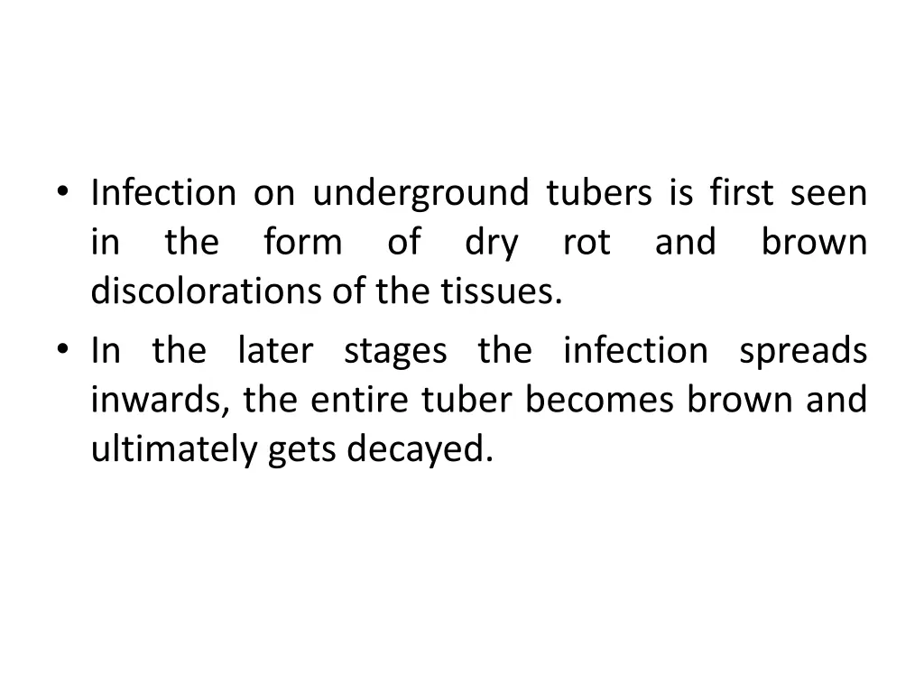 infection on underground tubers is first seen