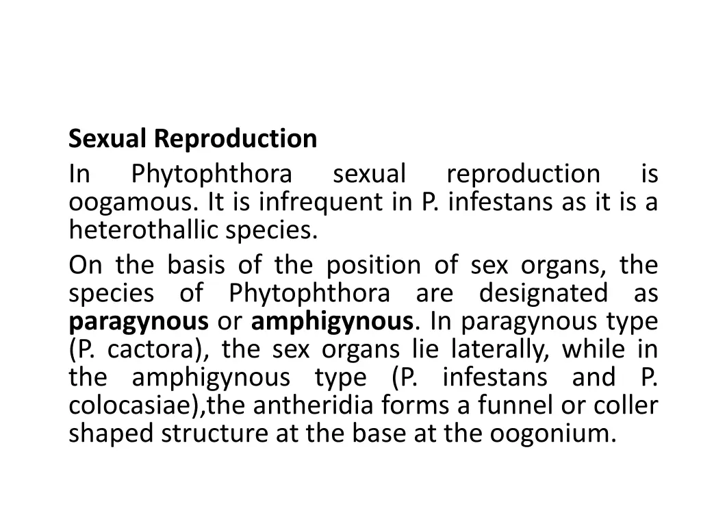 sexual reproduction in phytophthora oogamous