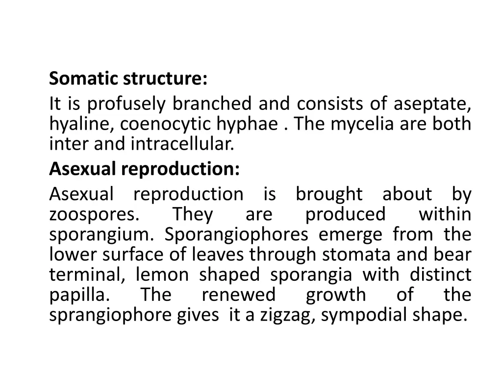 somatic structure it is profusely branched