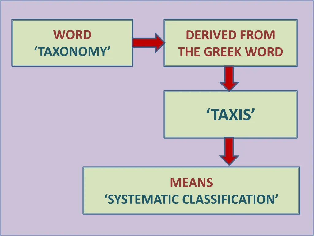 word taxonomy