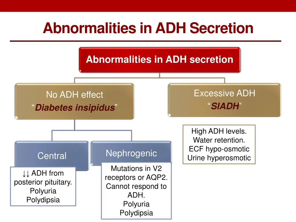 abnormalities in adh secretion