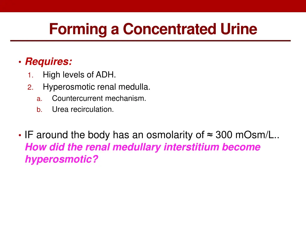 forming a concentrated urine