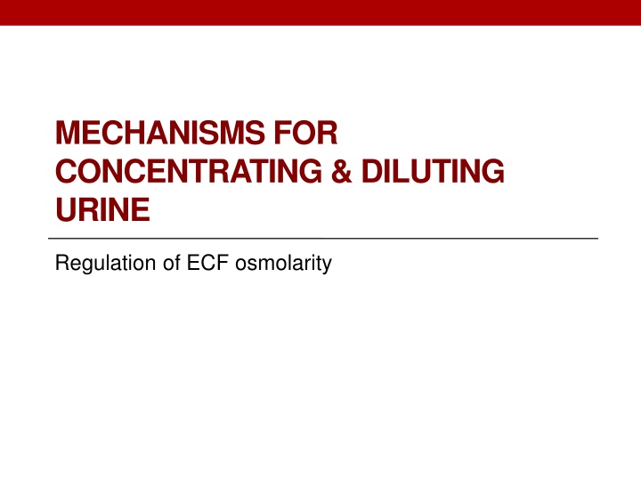 mechanisms for concentrating diluting urine