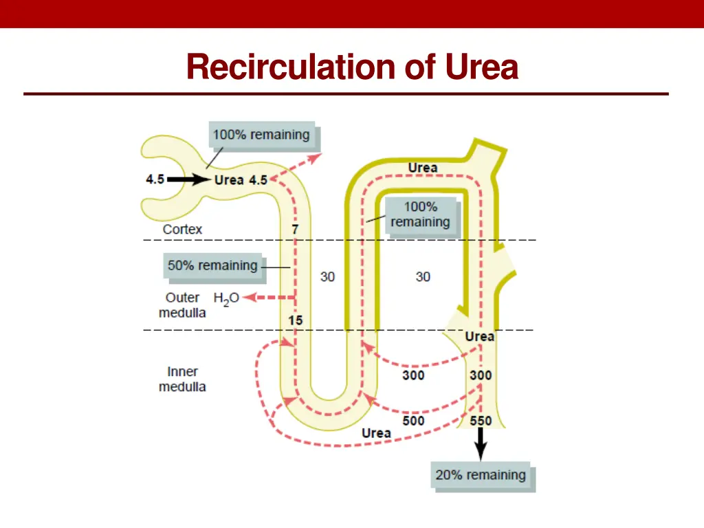 recirculation of urea