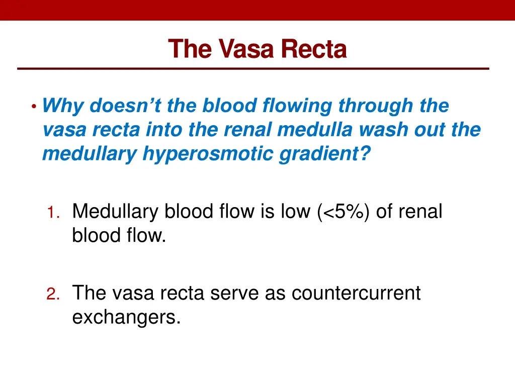 the vasa recta