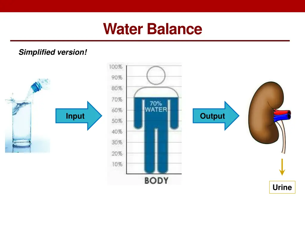 water balance