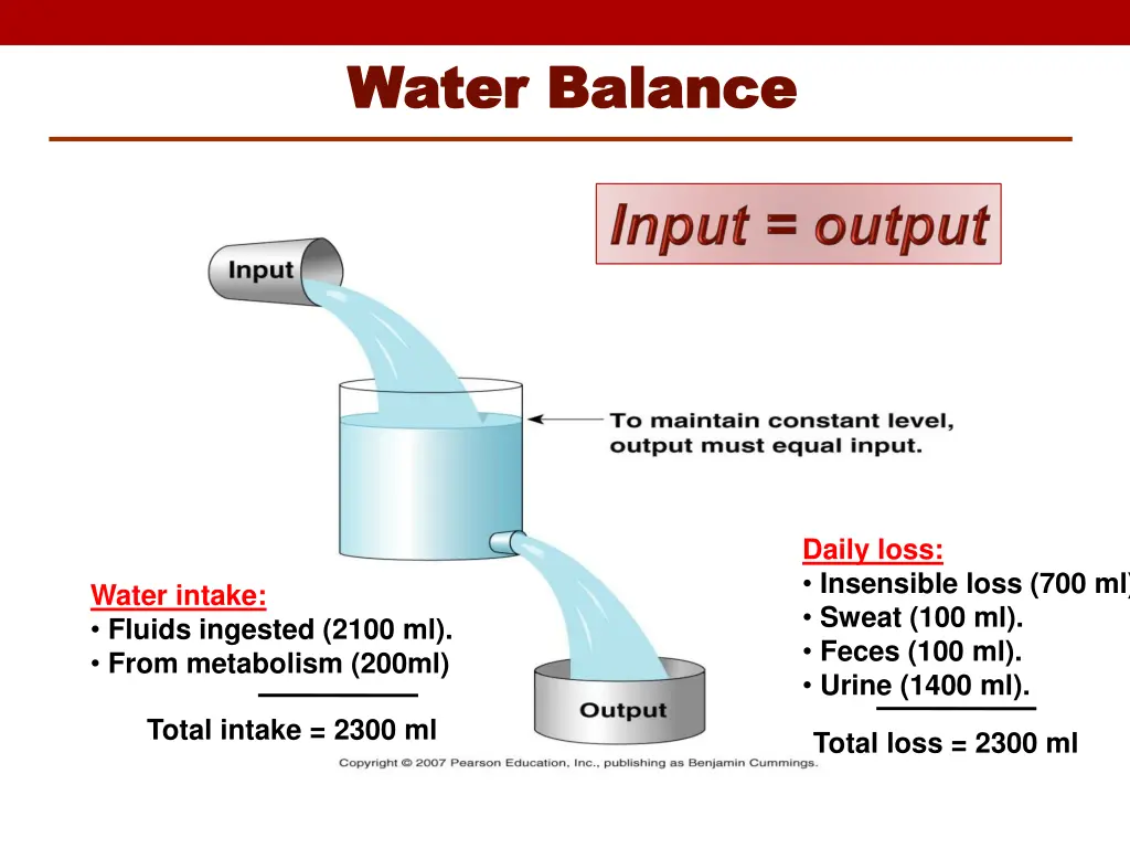 water balance water balance