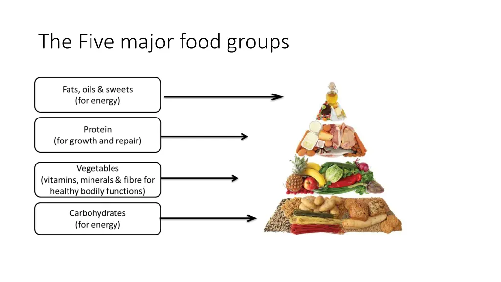 the five major food groups