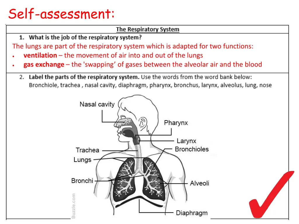 self assessment 1