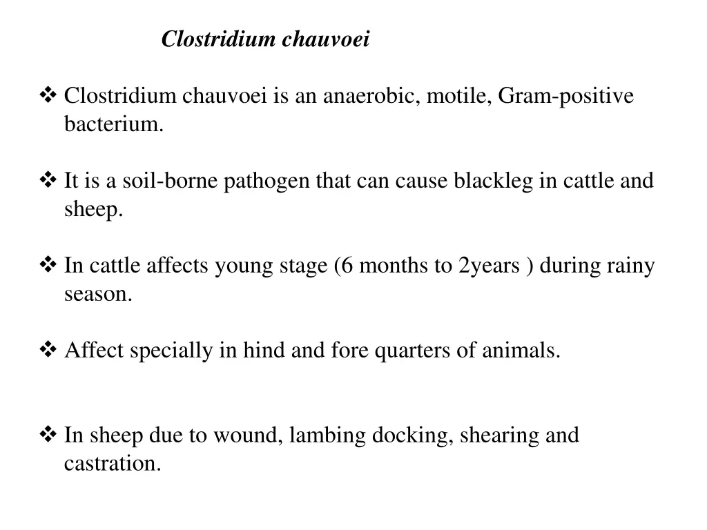 clostridium chauvoei