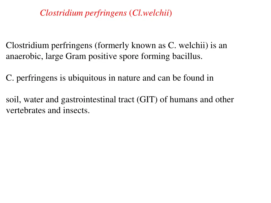 clostridium perfringens cl welchii