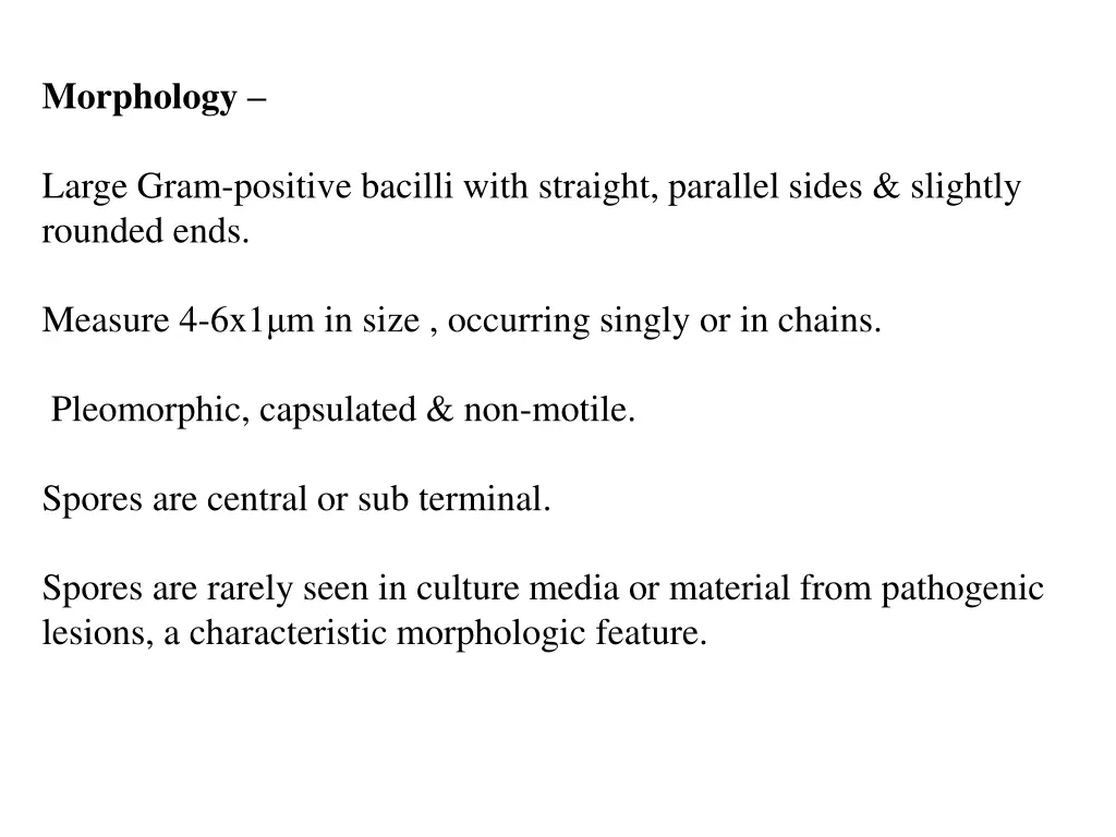 morphology