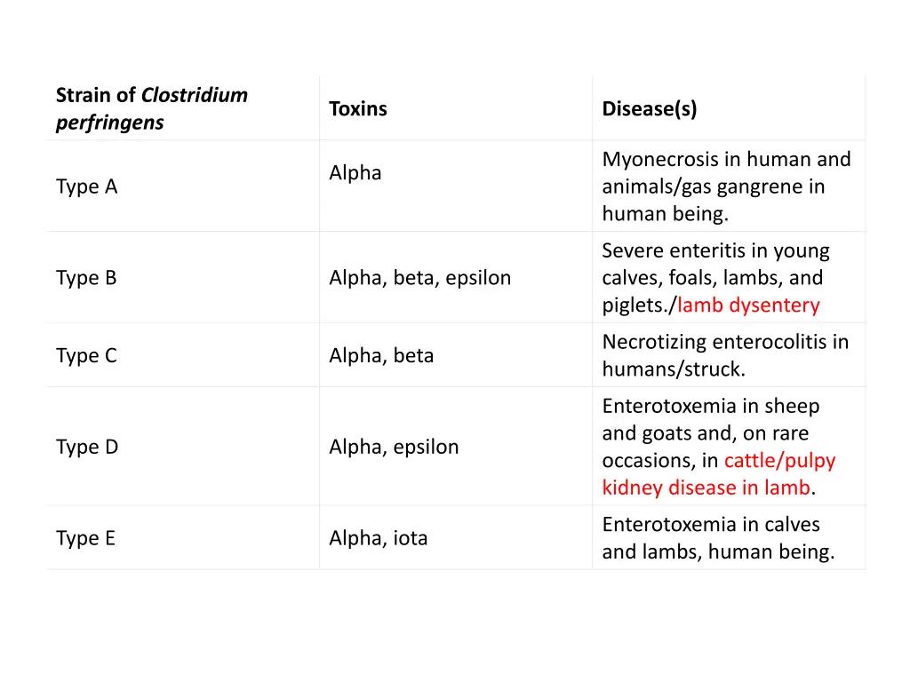 strain of clostridium perfringens