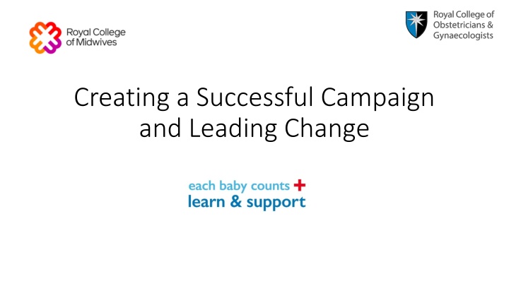 creating a successful campaign and leading change