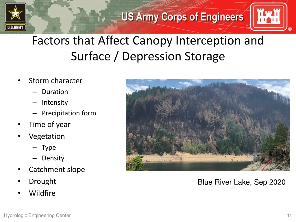 factors that affect canopy interception