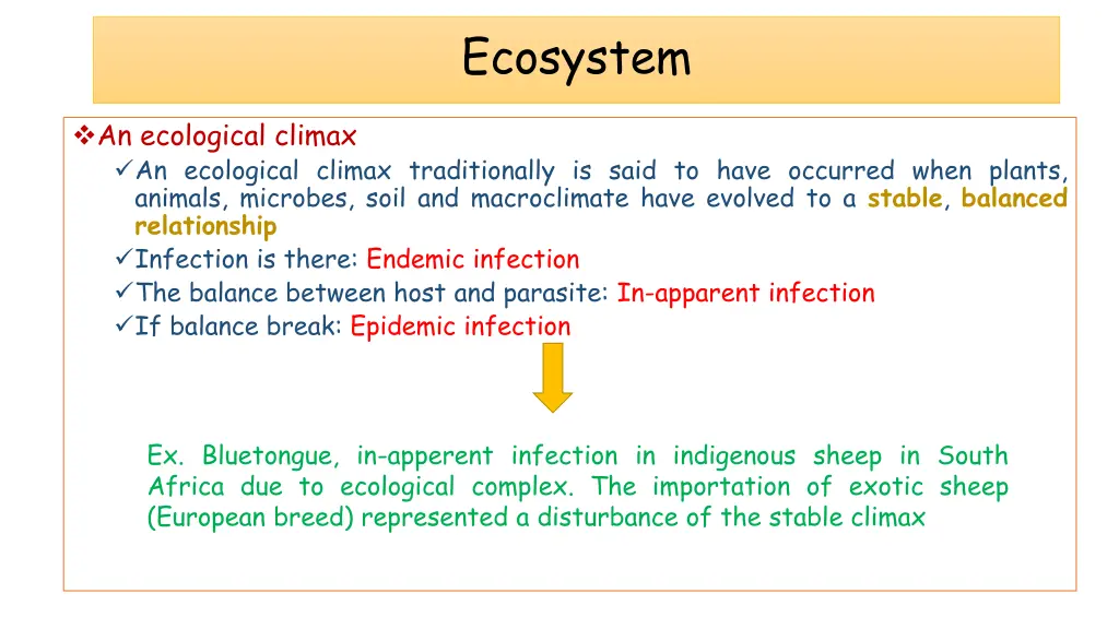 ecosystem 3