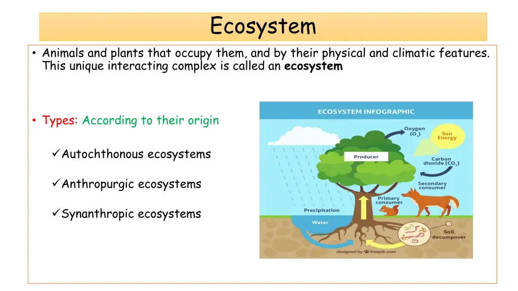 ecosystem