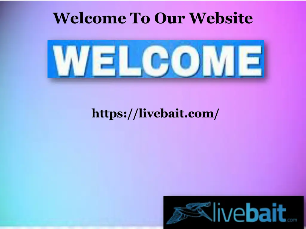 welcome to our website