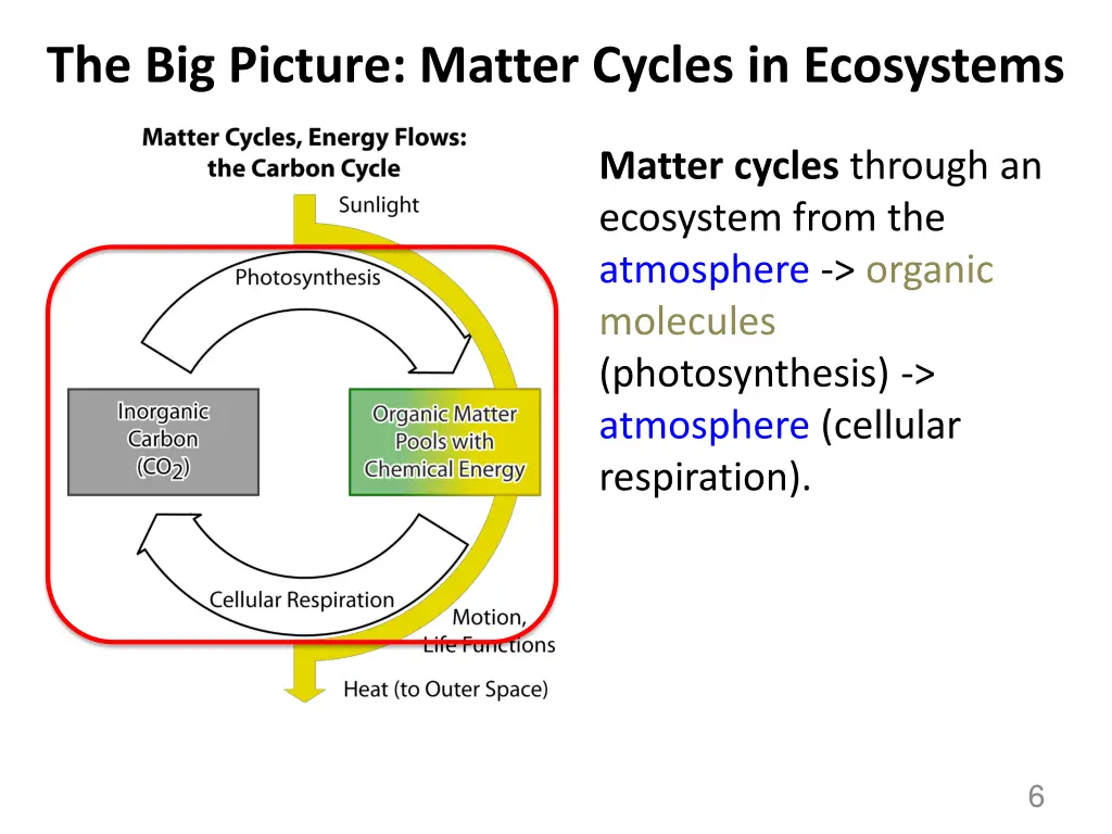 the big picture matter cycles in ecosystems