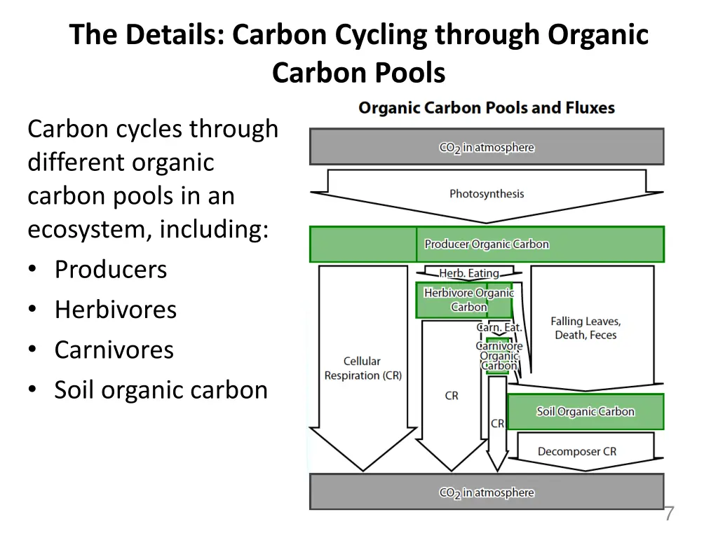 the details carbon cycling through organic carbon