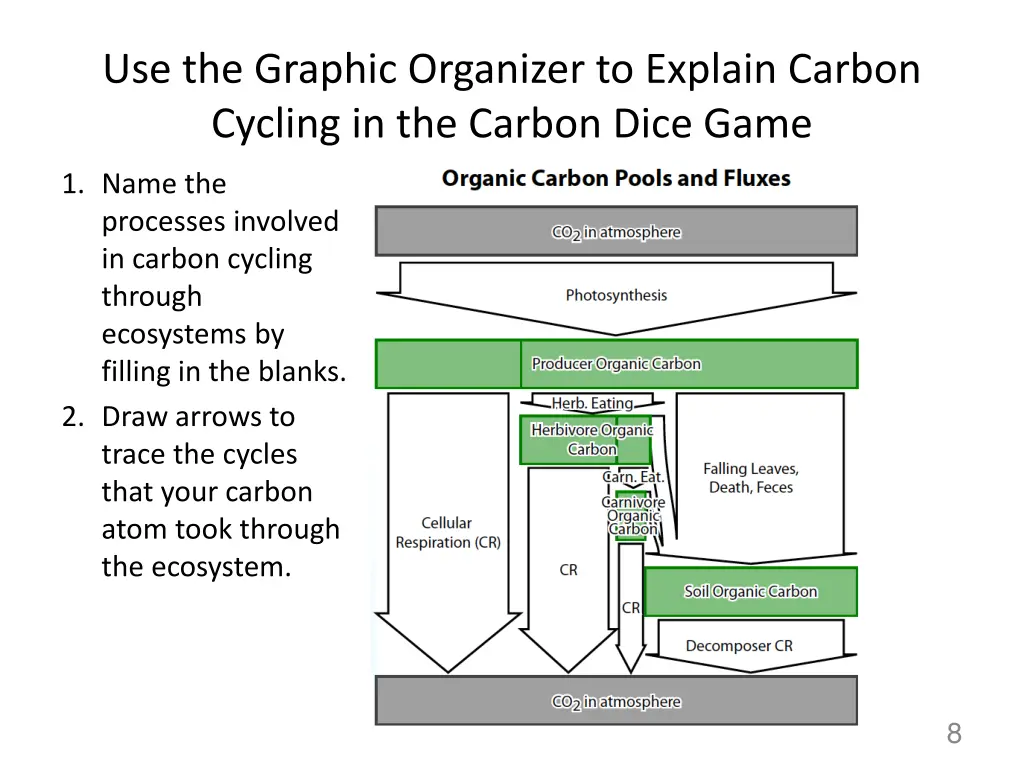 use the graphic organizer to explain carbon