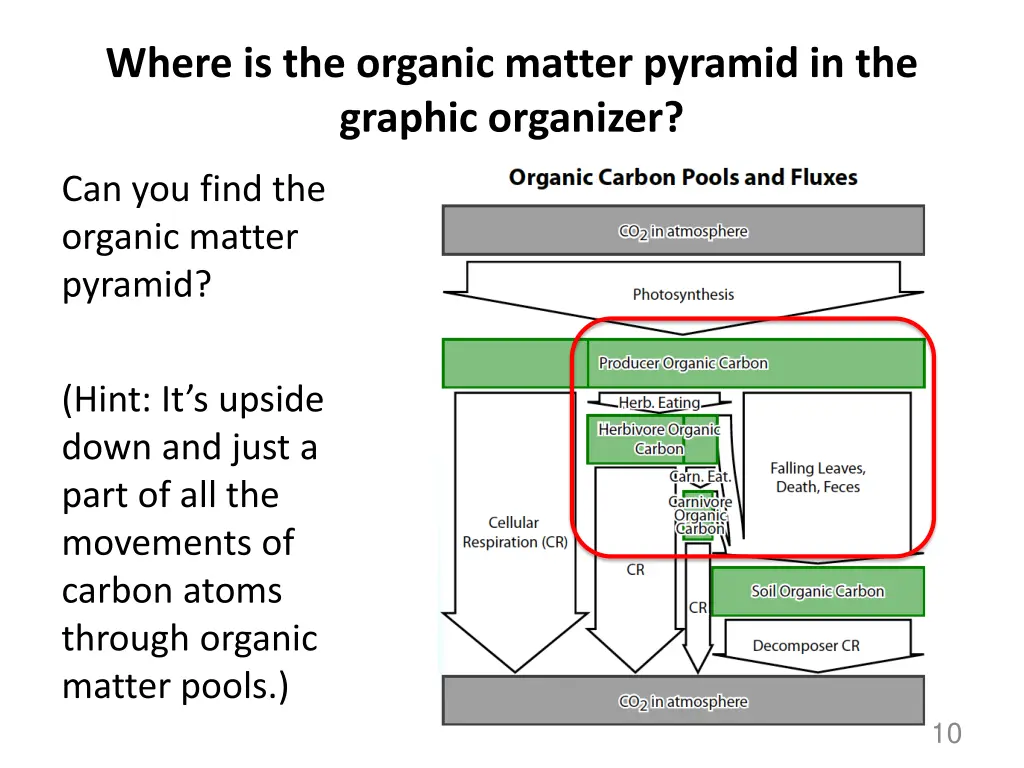 where is the organic matter pyramid