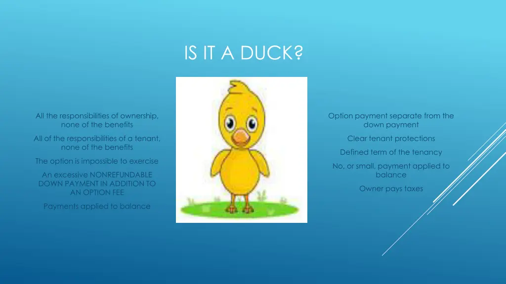 is it a duck