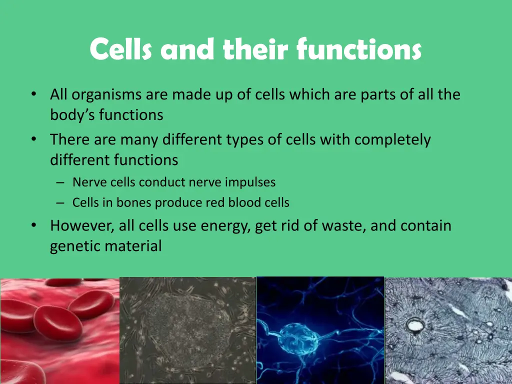 cells and their functions