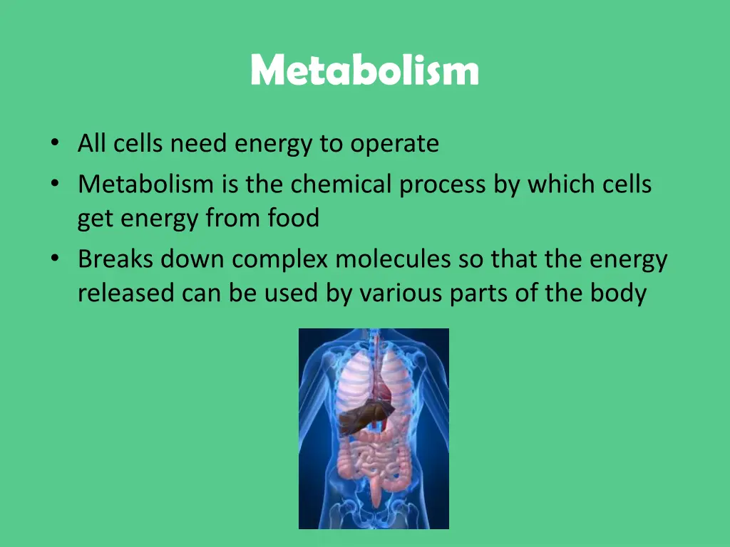 metabolism