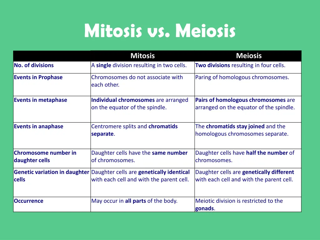 mitosis vs meiosis