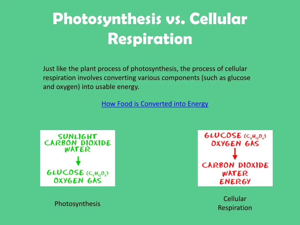 photosynthesis vs cellular respiration