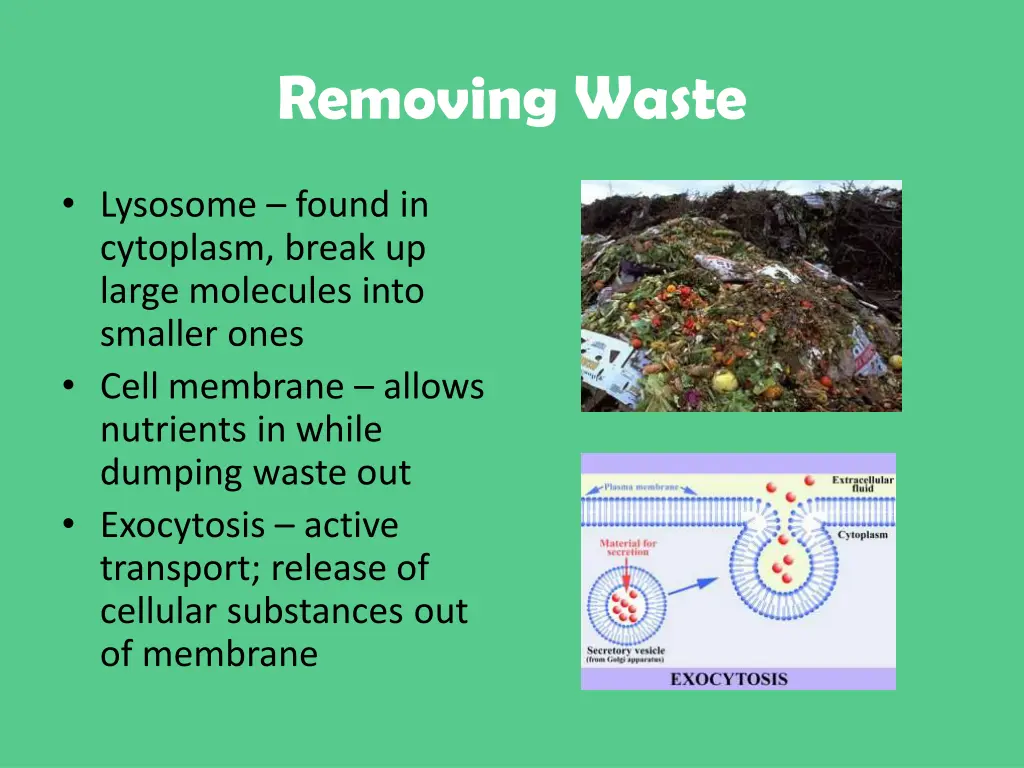 removing waste