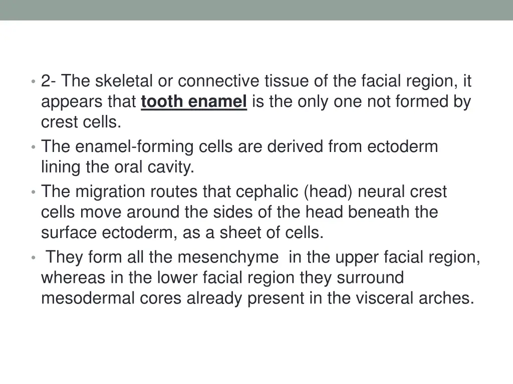 2 the skeletal or connective tissue of the facial