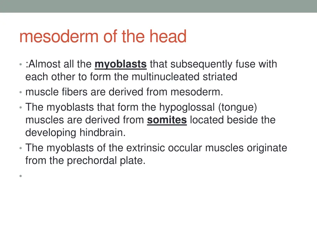 mesoderm of the head