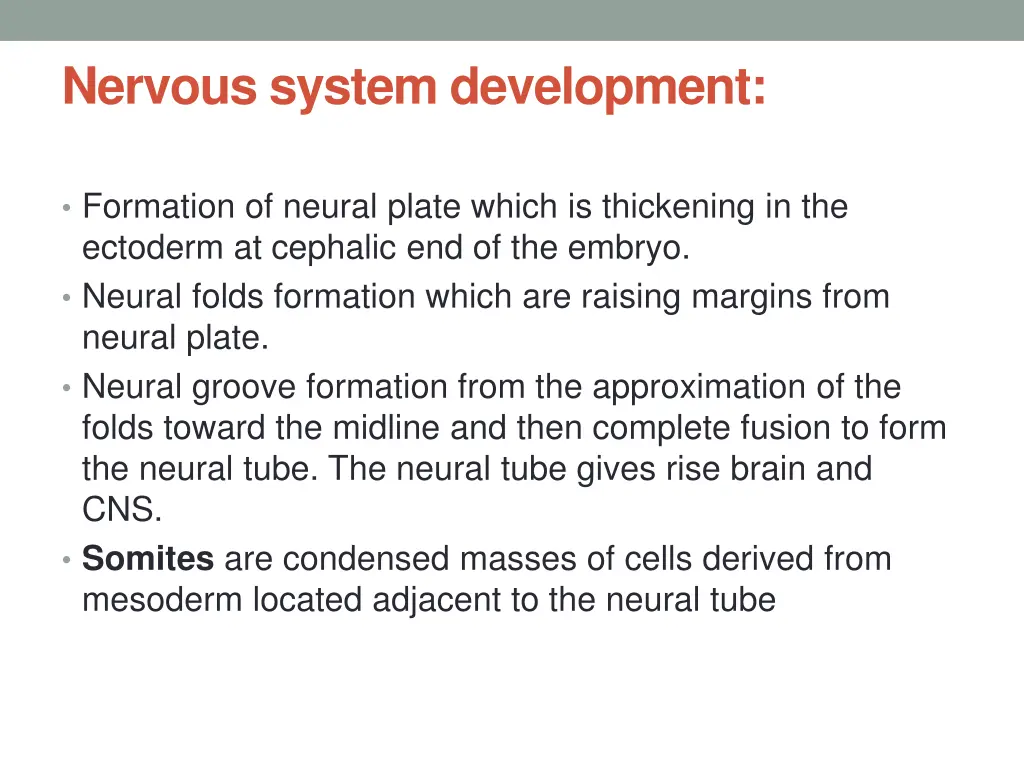 nervous system development