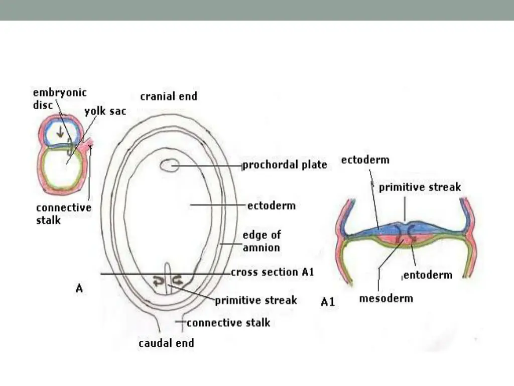 slide10