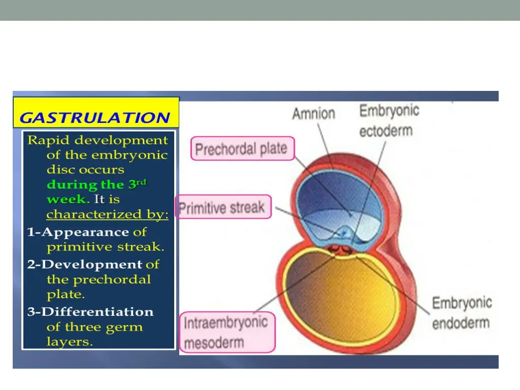 slide15