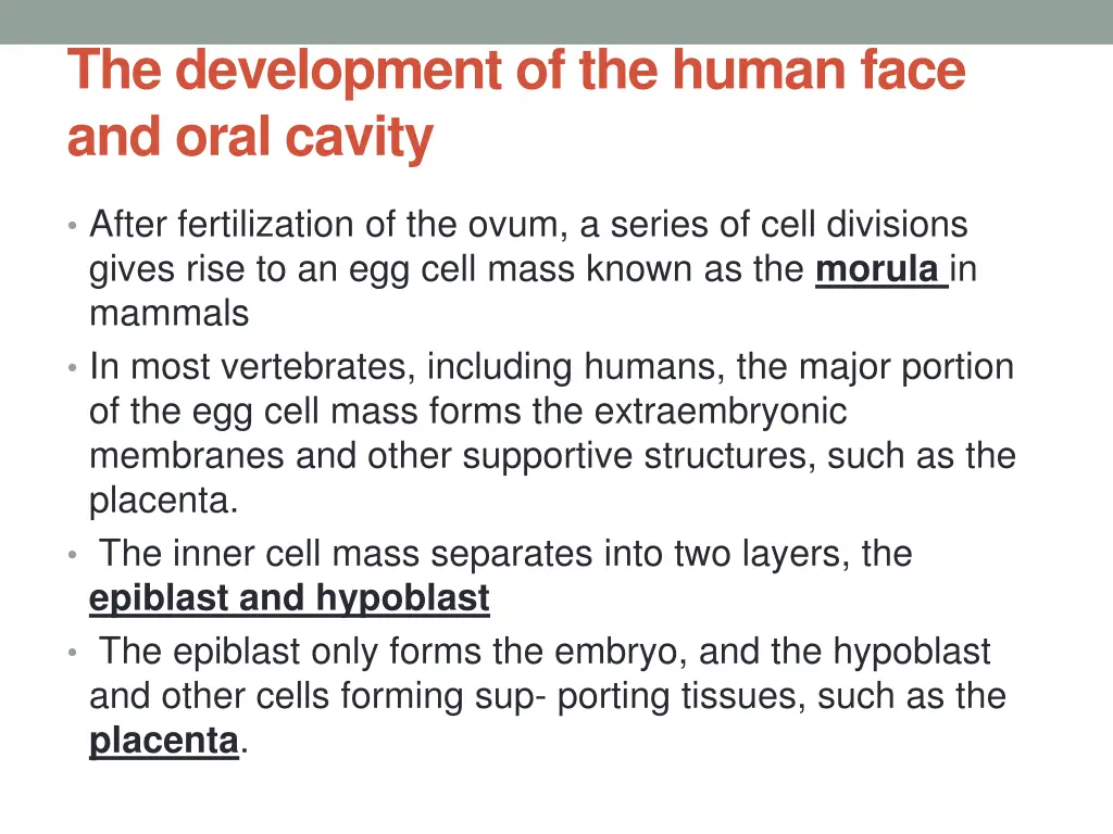 the development of the human face and oral cavity